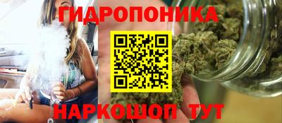 apvp Ставрополь